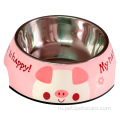 Amazon Cartoon Style из нержавеющей стали Pet Bowl